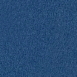 Discount Vision Allsport 3006 Royal Blue Fabric