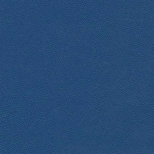 Discount Vision Allsport 3006 Royal Blue Fabric