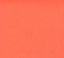 Best Vision Atlas 2nd Edition 44 Fluorescent Orange Fabric
