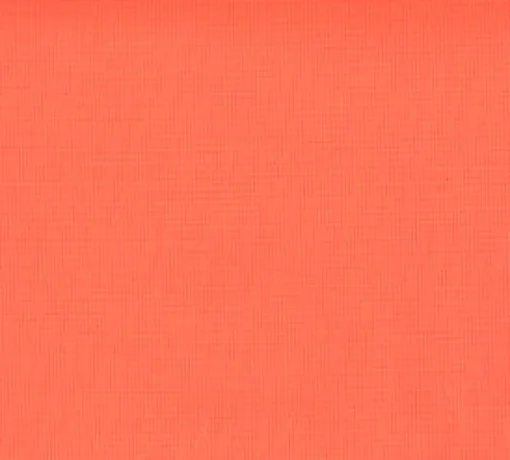 Best Vision Atlas 2nd Edition 44 Fluorescent Orange Fabric