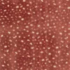 Discount Regal Aubrie Carnation Fabric