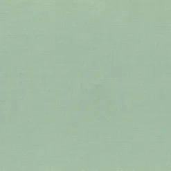 Clearance Regal Bayou Spray Fabric
