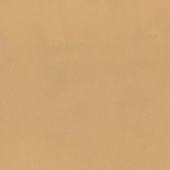 Clearance Regal Bronco Beach Fabric