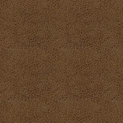 Fashion Vision Claro 8009 Amber Fabric