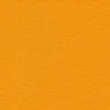 Clearance Vision Cordura 1000 44 Sport Gold Fabric