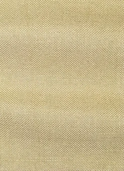 Clearance Valdese Evere Sisal Fabric
