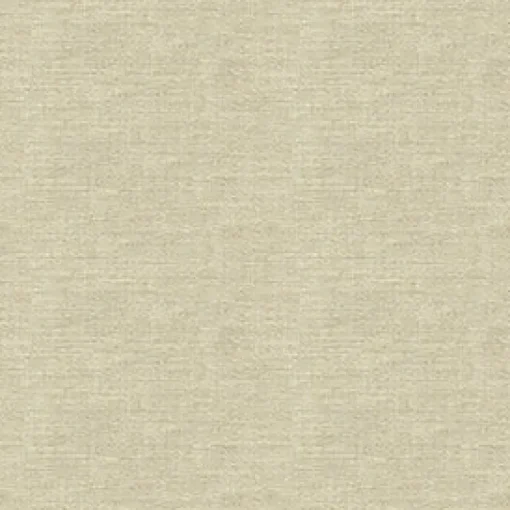 Fashion Vision Exuberance 6003 Cream Fabric