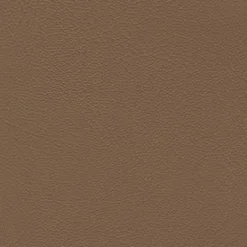 Clearance Vision Grand Prix 9472 Buckskin Fabric