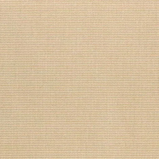 Hot Regal Jive Sand Fabric