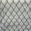 Hot Stock/Europatex Jovial Elm Europatex Fabric