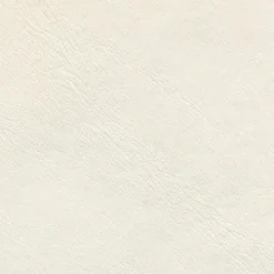 Discount Vision Lunar White 500 Fabric