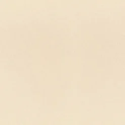 Best Vision Marlin MRL 3208 Parchment (Marine Vinyl) Fabric