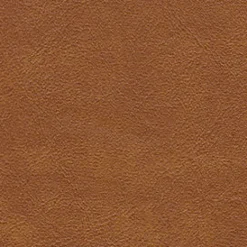 Best Vision Midship 84 Rust Fabric