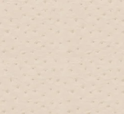 Clearance Vision Ostrich 67 Wheat Fabric