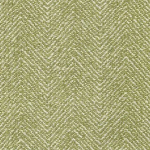 Online Regal Phillip Keylime Fabric