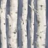 New Brewster 3118-12604 Pioneer Denim Birch Tree Wallpaper