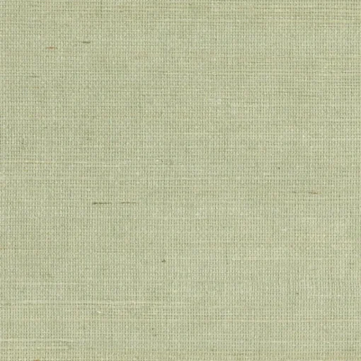 Online Brewster Popun Light Green Grasscloth Wallpaper