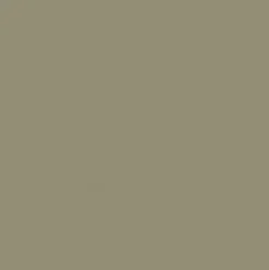 Best Vision Sealskin 21 Moss Fabric