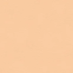 Fashion Vision Spirit Milm US 502 Coral Sand Fabric