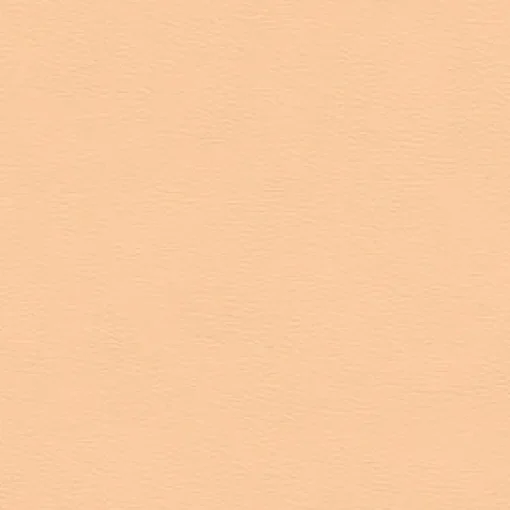 Fashion Vision Spirit Milm US 502 Coral Sand Fabric