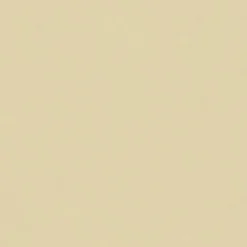 Fashion Vision Spirit Milm US 385 Parchment Fabric