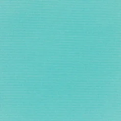 Fashion Vision Sunbr Furn Solid Canvas 5416 Aruba Fabric