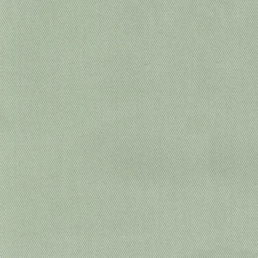 Hot Regal Topsider Sage Fabric
