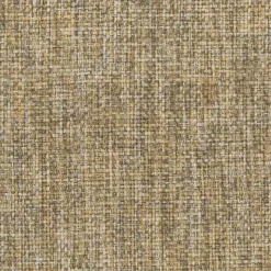 Fashion Regal Vault Fawn Fabric