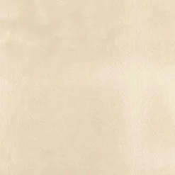 Discount Regal Venture Ivory Fabric