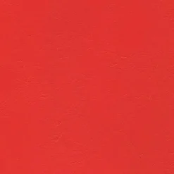 Clearance Vision Windsong 750 Tropical Red Fabric