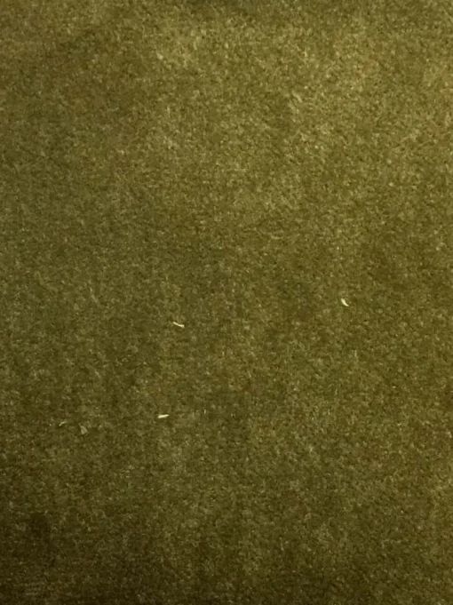 Valdese Banks Olive Fabric