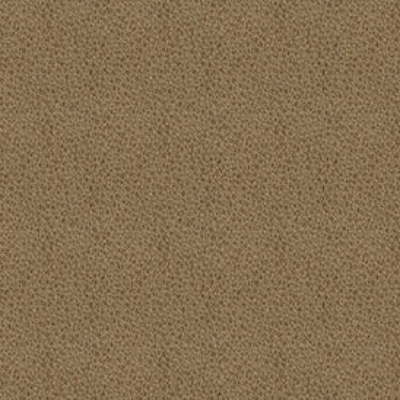 Vision Claro 606 Tan Fabric