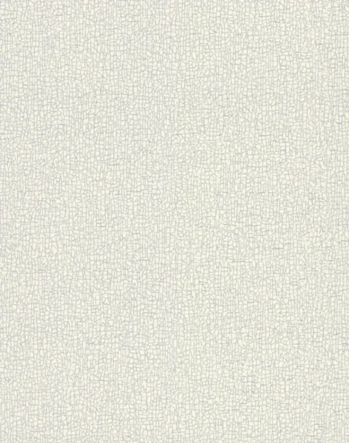 York COD0533N White/Off Whites Sweet Birch Wallpaper