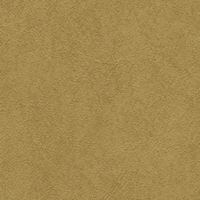Vision Midship 8884 Rawhide Fabric