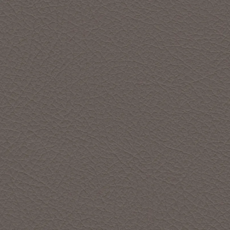 Vision Nuance 2454 Fawn Fabric