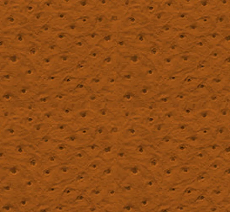 Vision Ostrich 91 Carmel Fabric