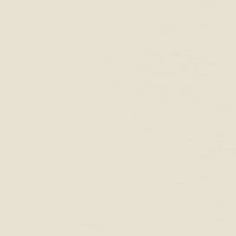Vision Sealskin 61 Mystic White Fabric