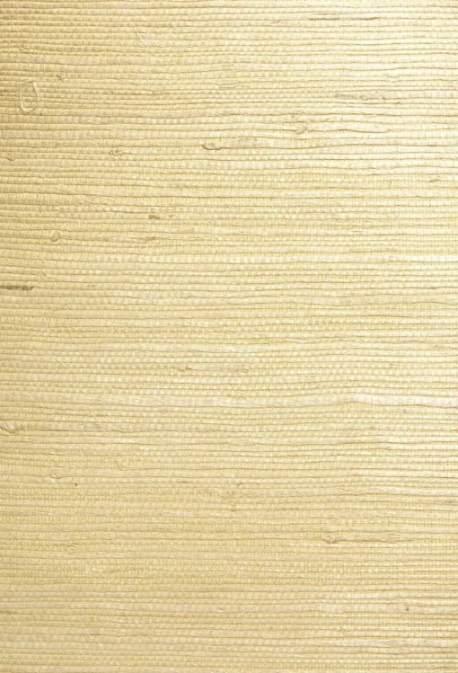 Brewster Shan Light Green Grasscloth Wallpaper