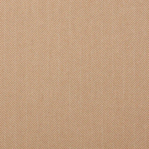 PKaufmann_inc/PK Wallace Camel P Kaufmann Fabric